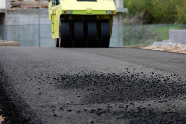 Best Custom Driveway Pavers  in Dranesville, VA