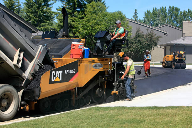 Best Local Driveway Pavers  in Dranesville, VA
